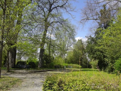 imgp0400-mai-senioren imgp0400-mai-senioren