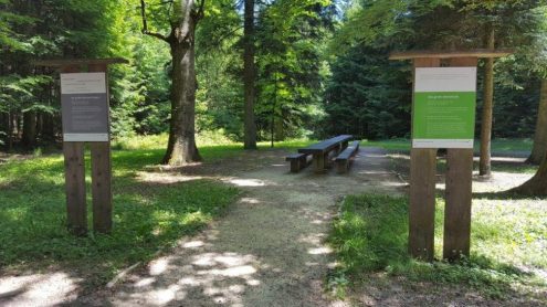 20170614_115gschwend855-2