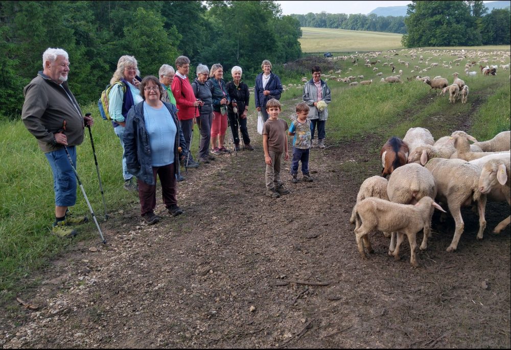 Abendwanderung zum Franz-Keller-Haus | Schwäbischer Albverein