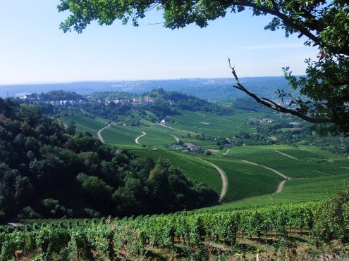 2024 10. 06. Rotenberg